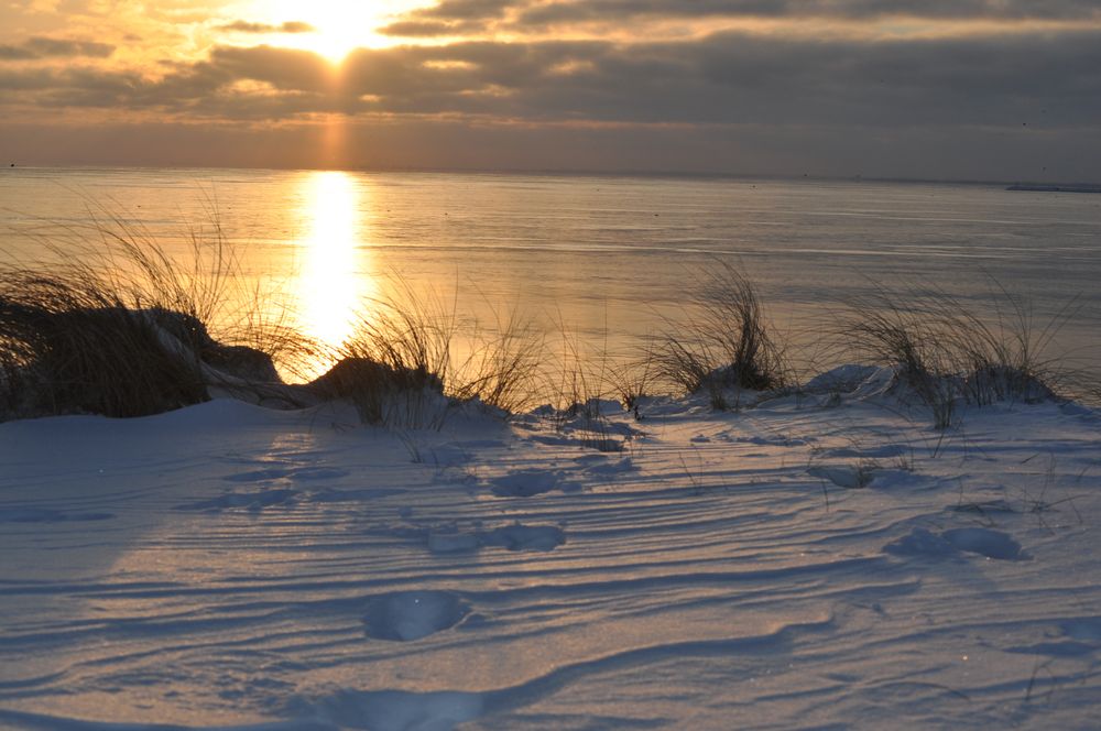 Am Strand von SunnyLux 