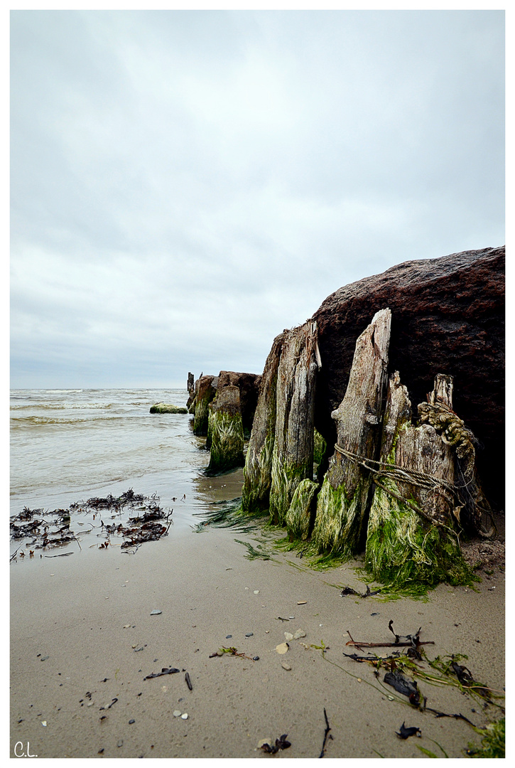 .am Strand.