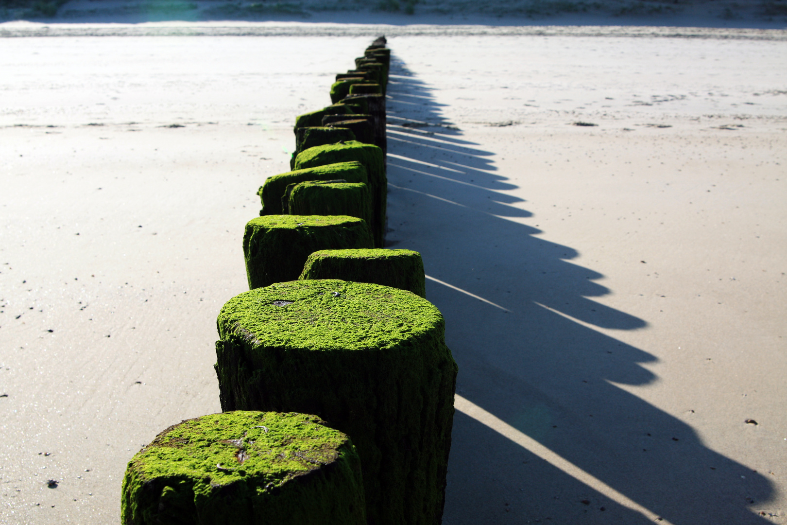 Am Strand