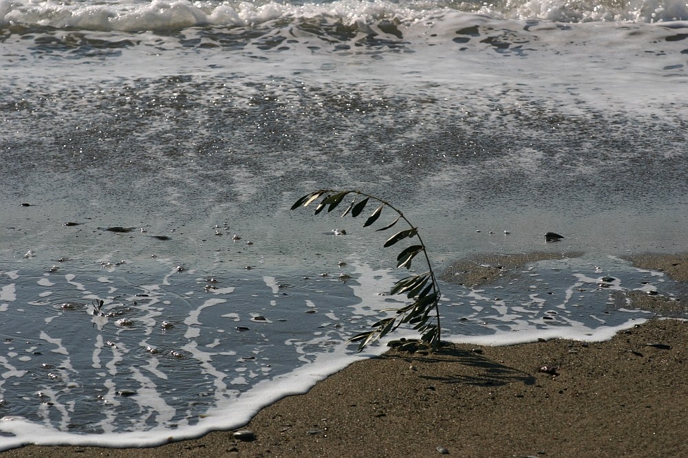 Am Strand