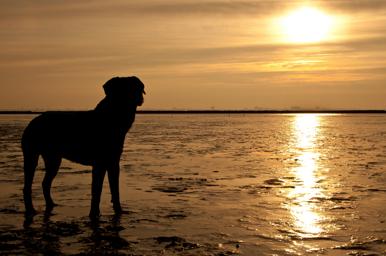 Am Strand