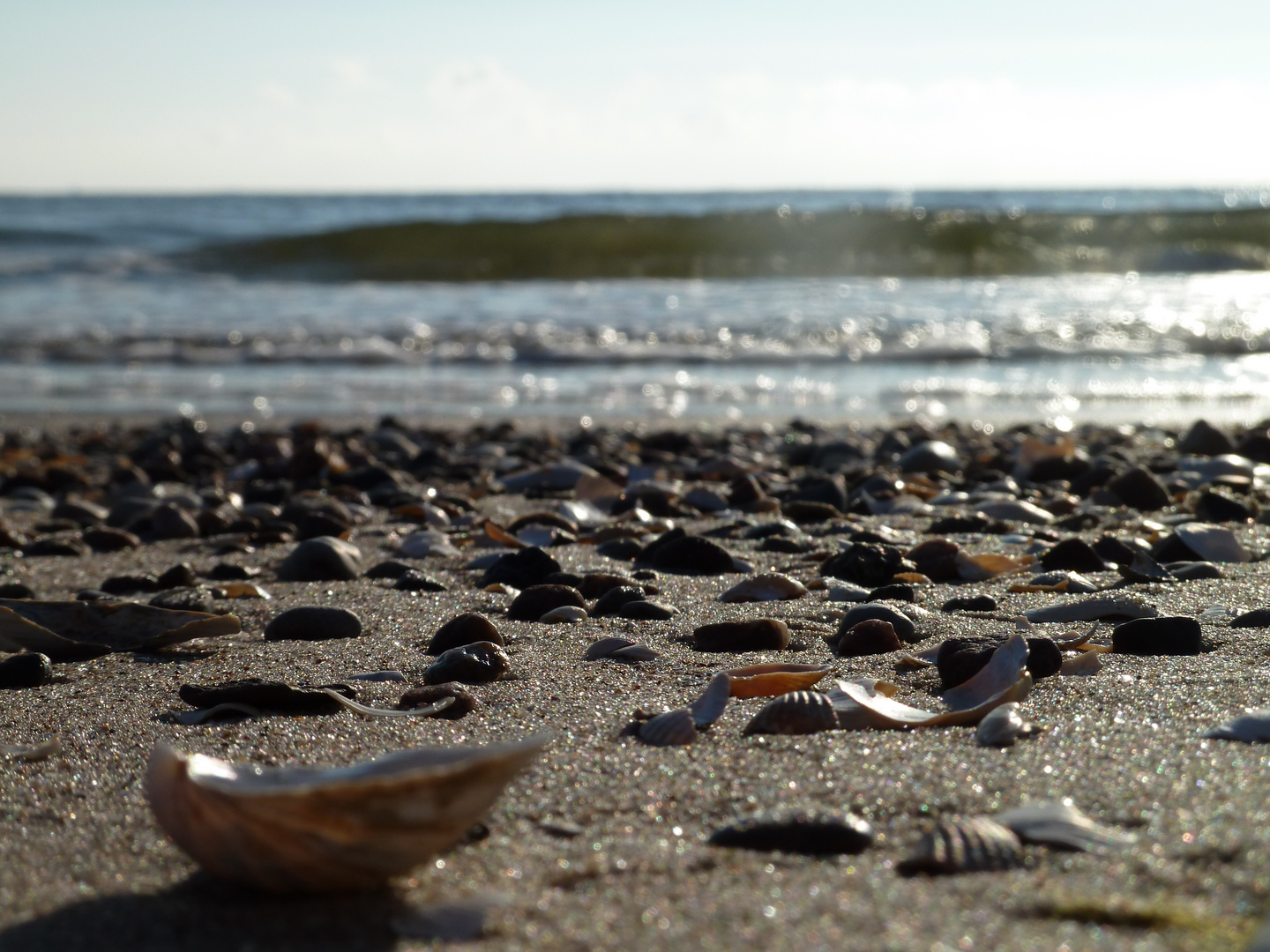 Am Strand 1