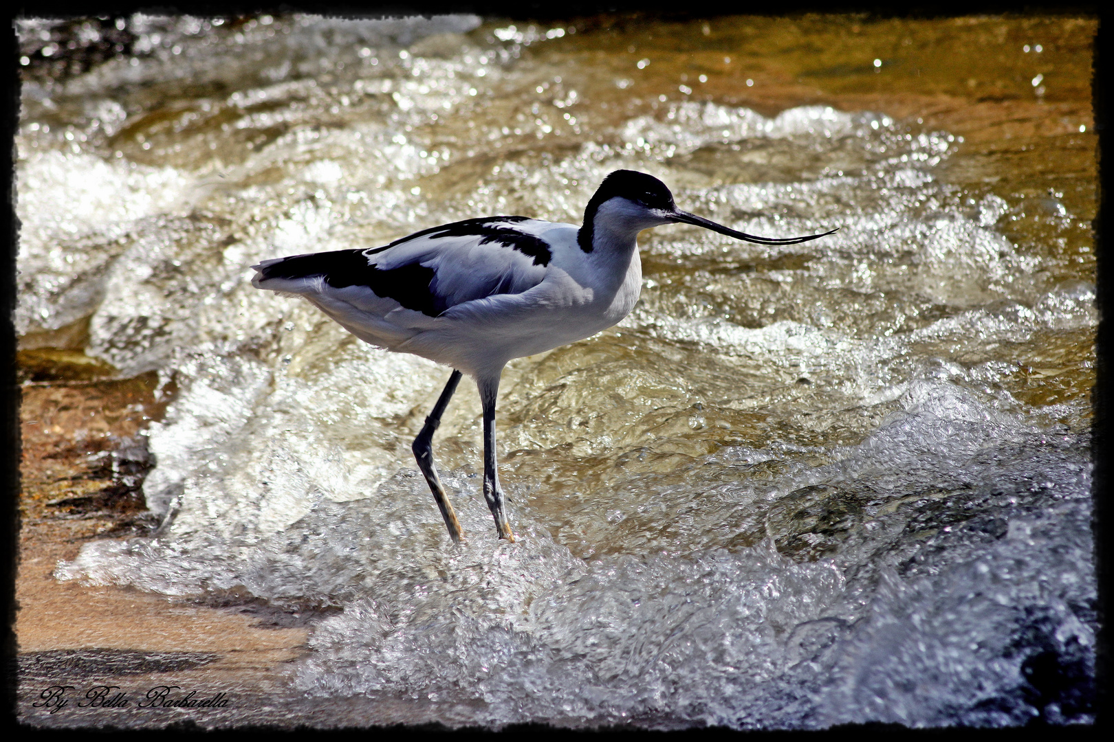 Am Strand