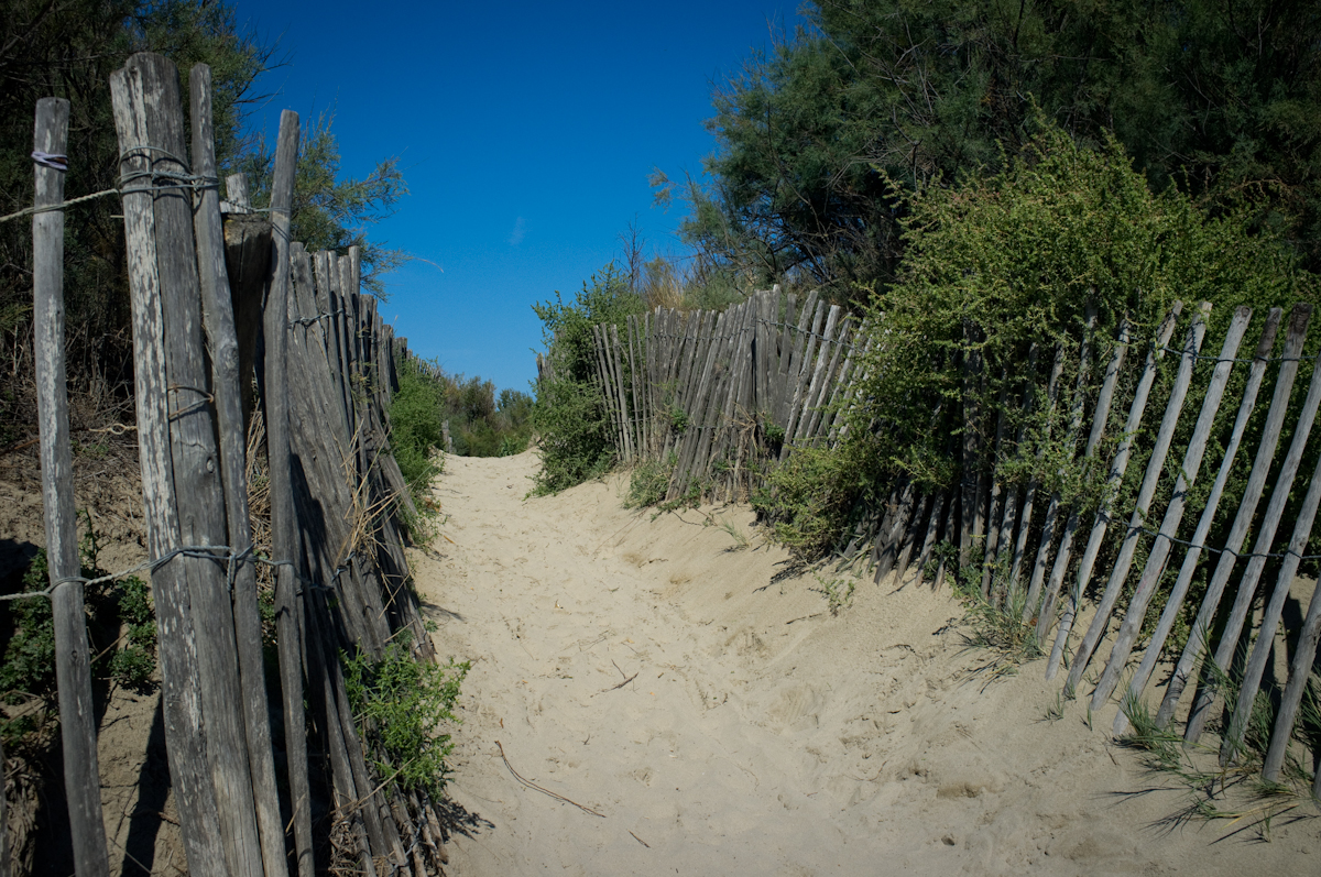 Am Strand