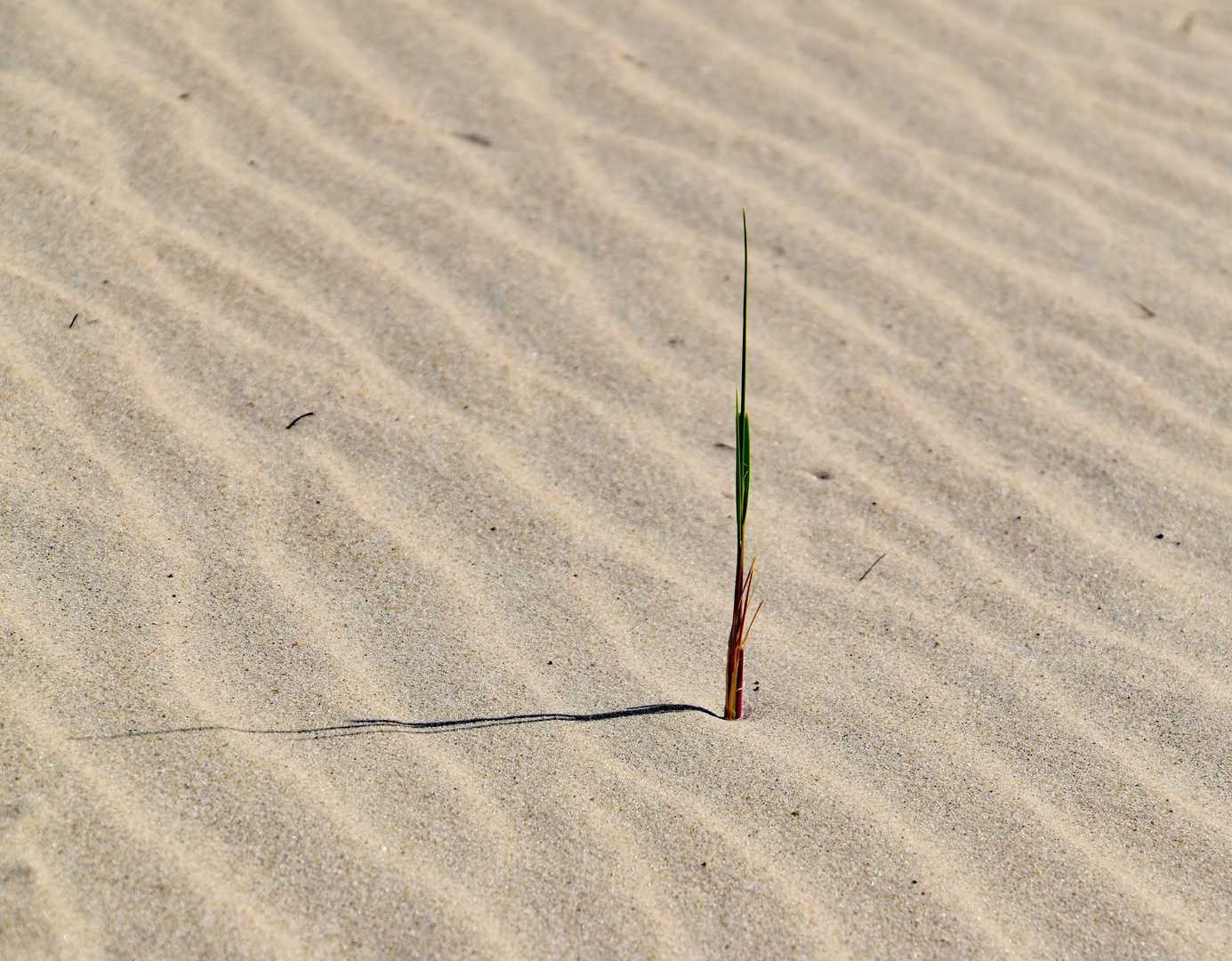 Am Strand