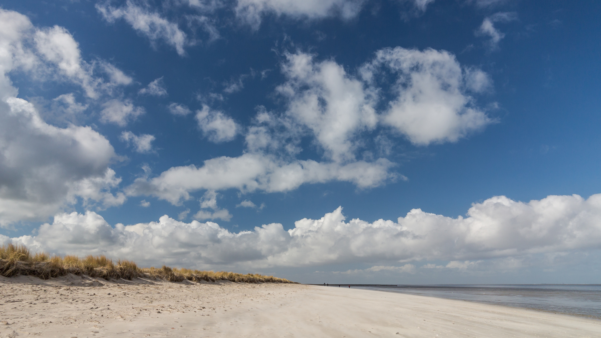 Am Strand...