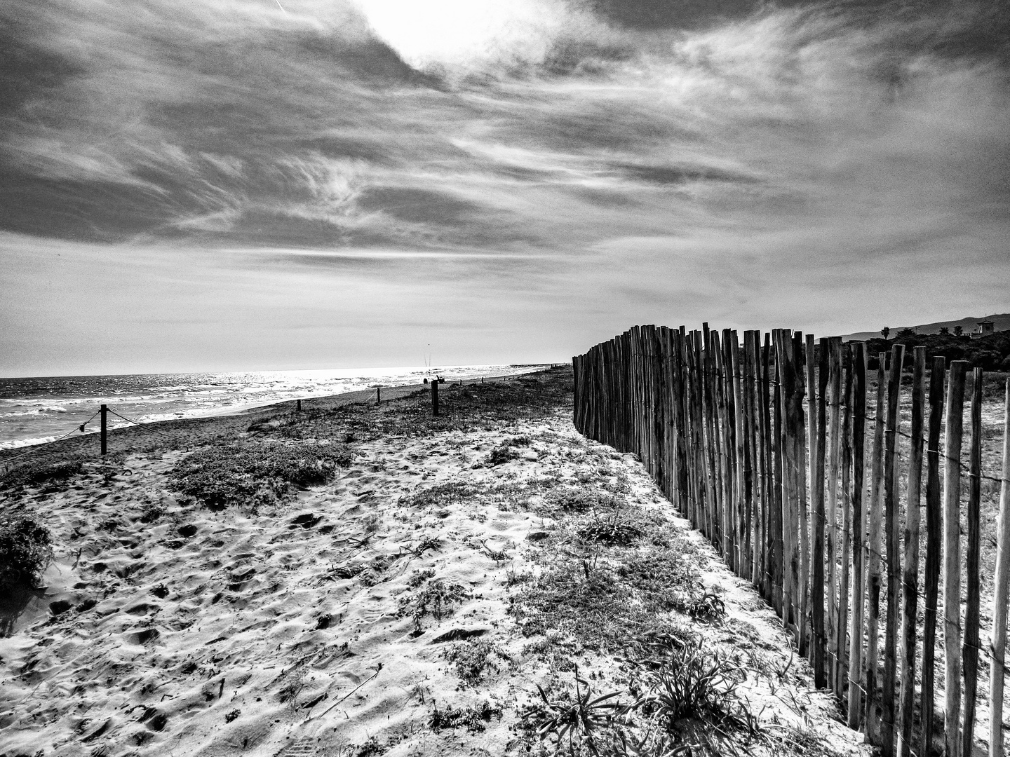 am Strand