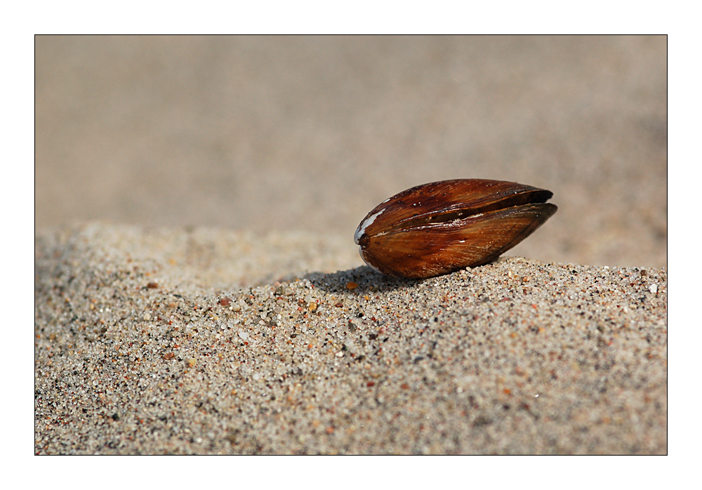 Am Strand -2-