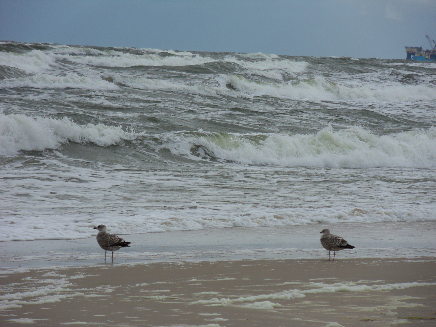 Am Strand 2