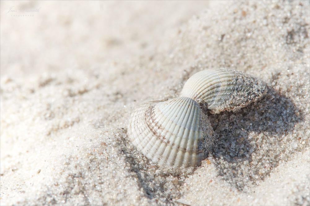 Am Strand (2)