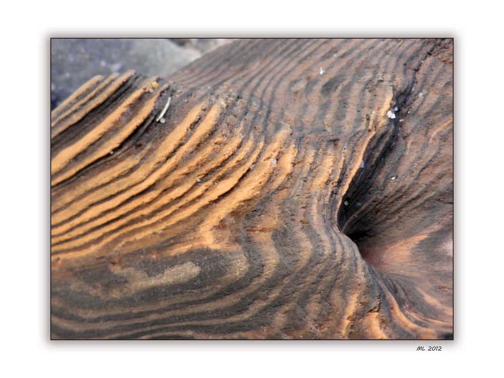 am strand #2