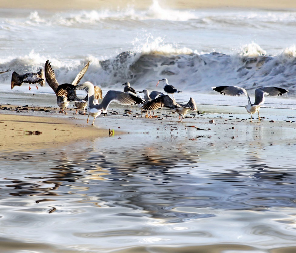 am Strand