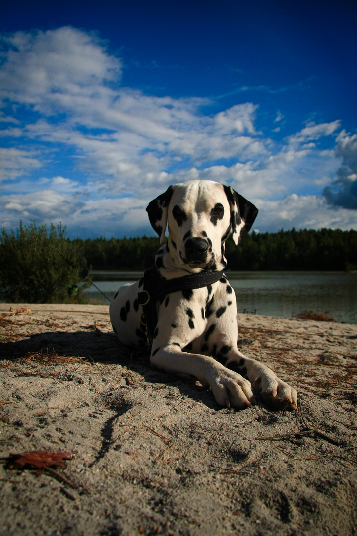 am Strand....