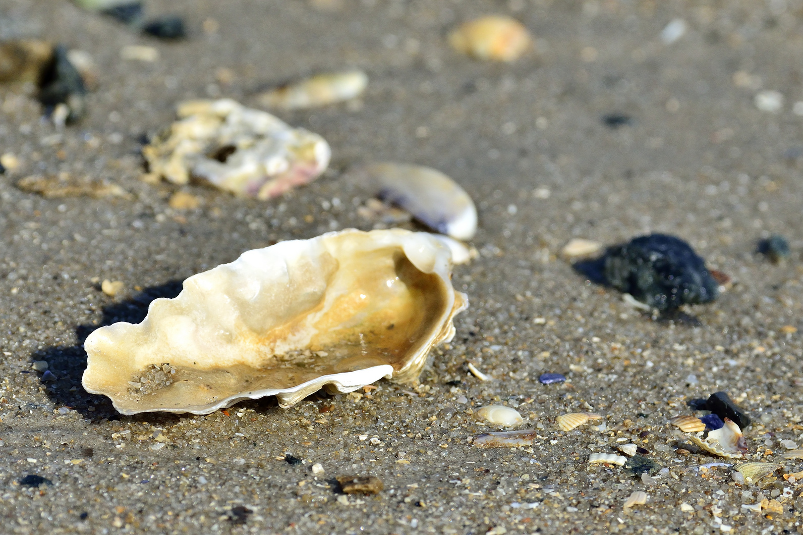 Am Strand