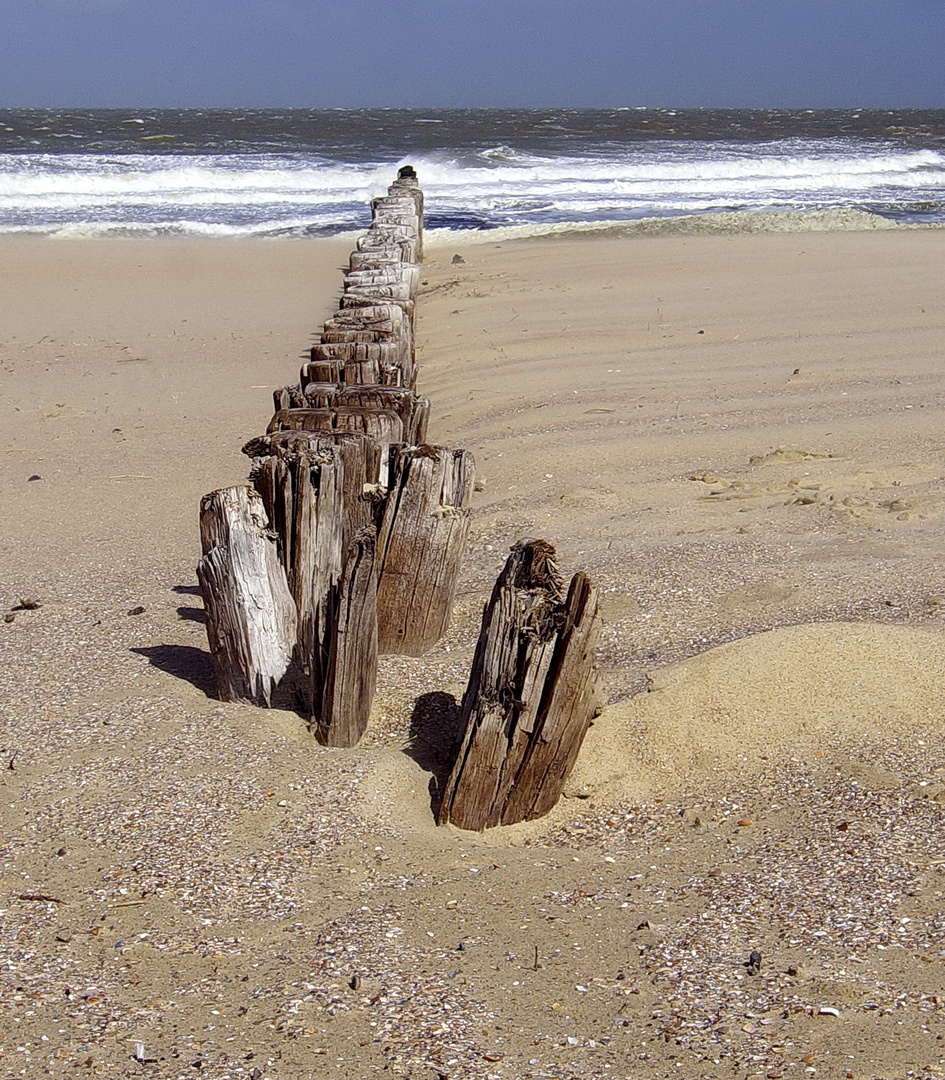 Am Strand