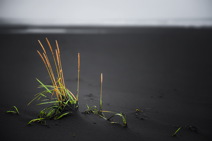 Am Strand