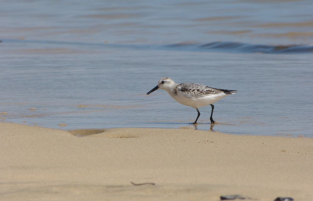 ...am strand...