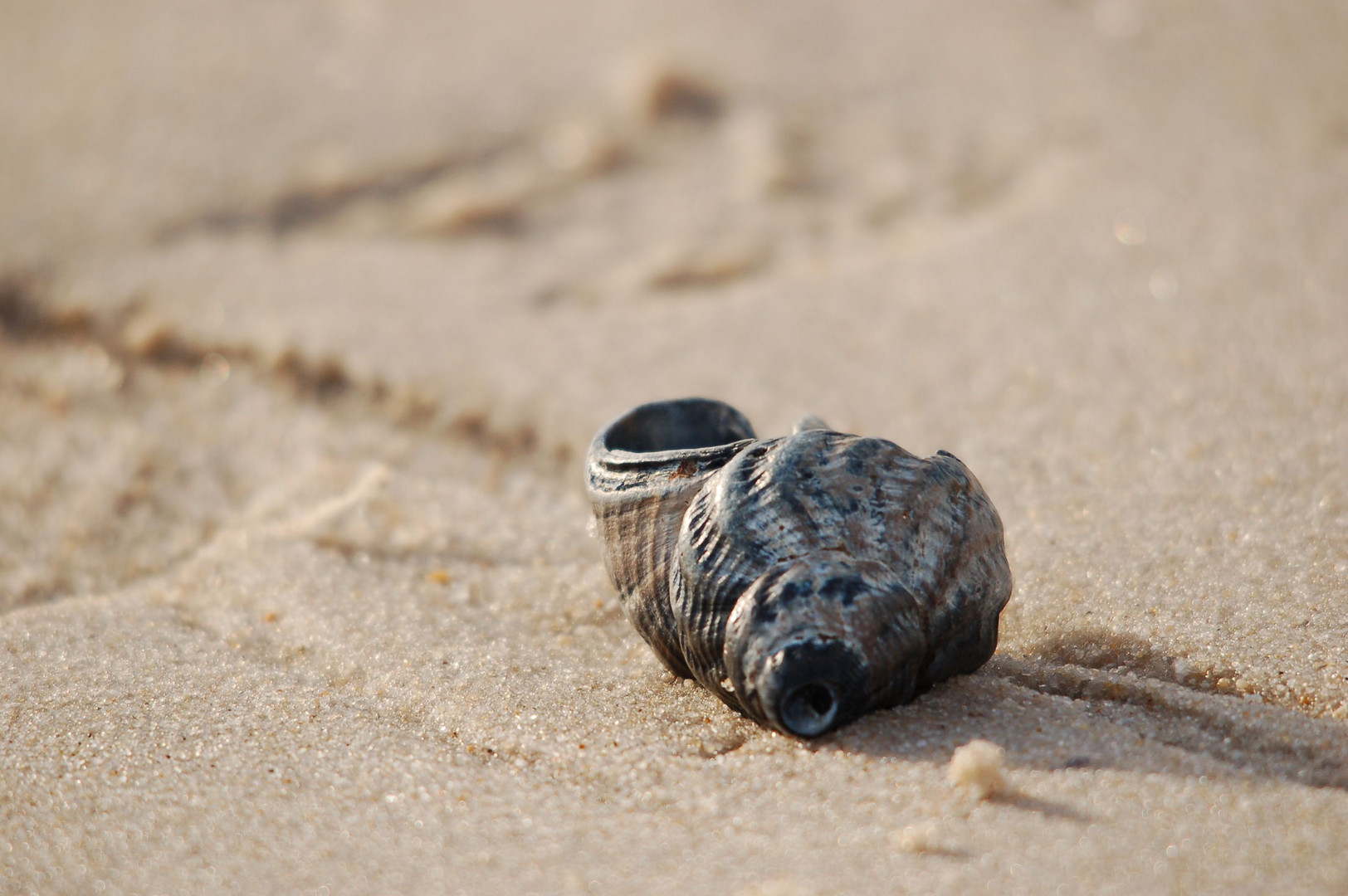 ... am Strand