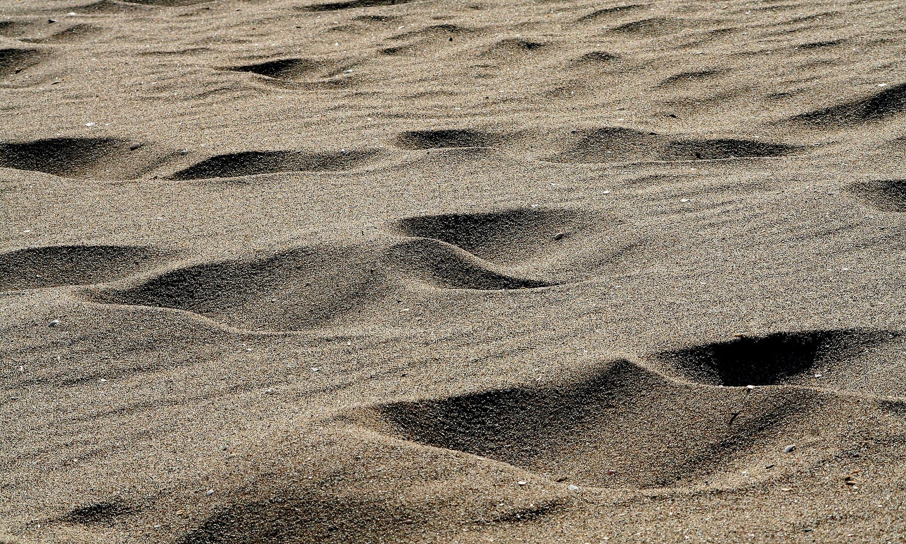 am Strand