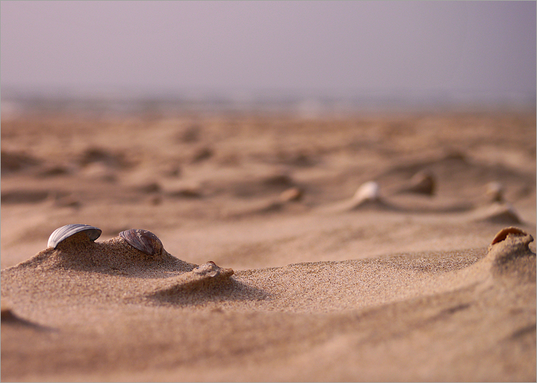 Am Strand....