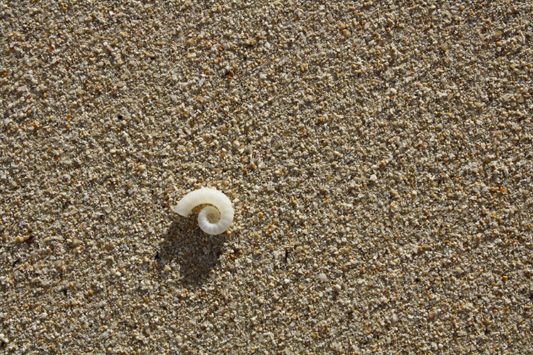 Am Strand