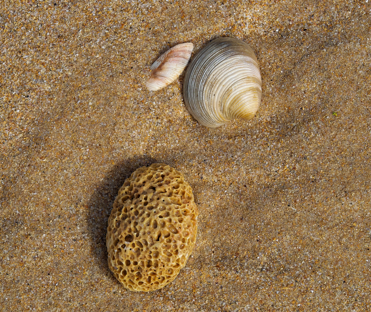 Am Strand