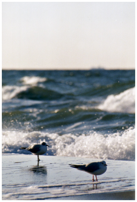 Am Strand