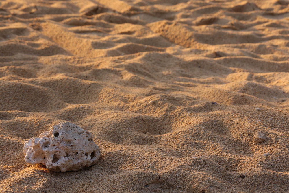 am Strand