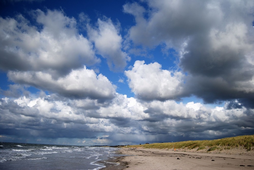 am Strand ...