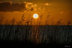 Am Strand
