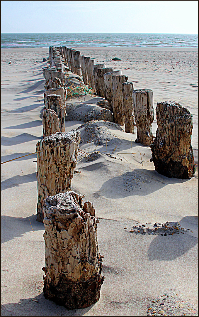 Am Strand