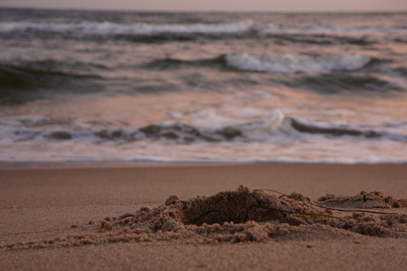 am Strand