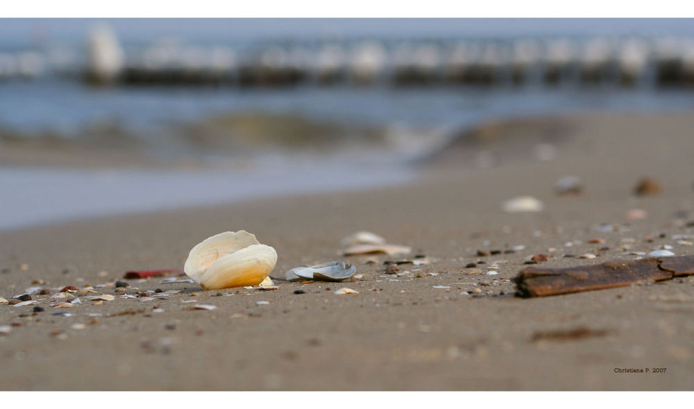 Am Strand