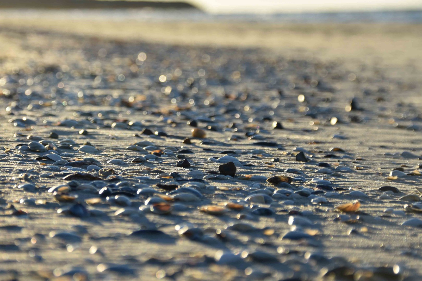 am Strand 