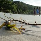 Am Strand