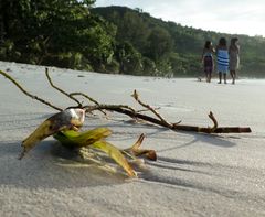 Am Strand