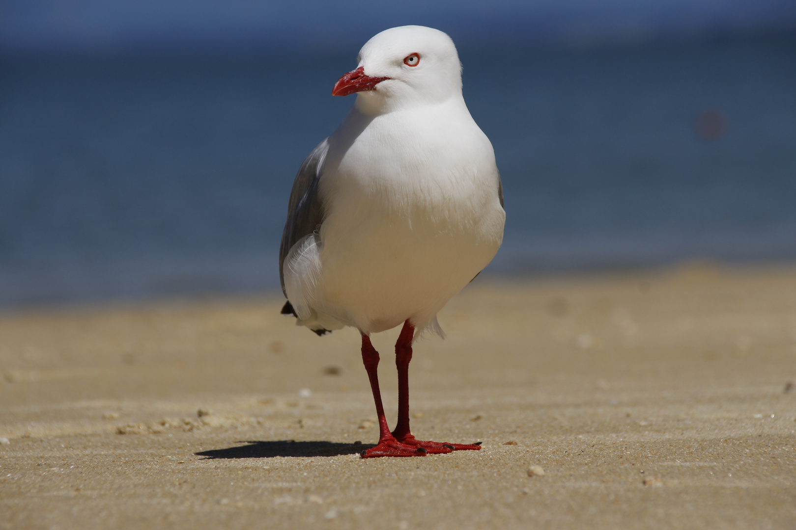 Am Strand