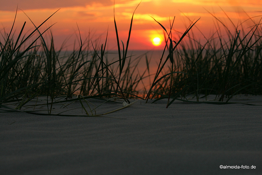 Am Strand ...