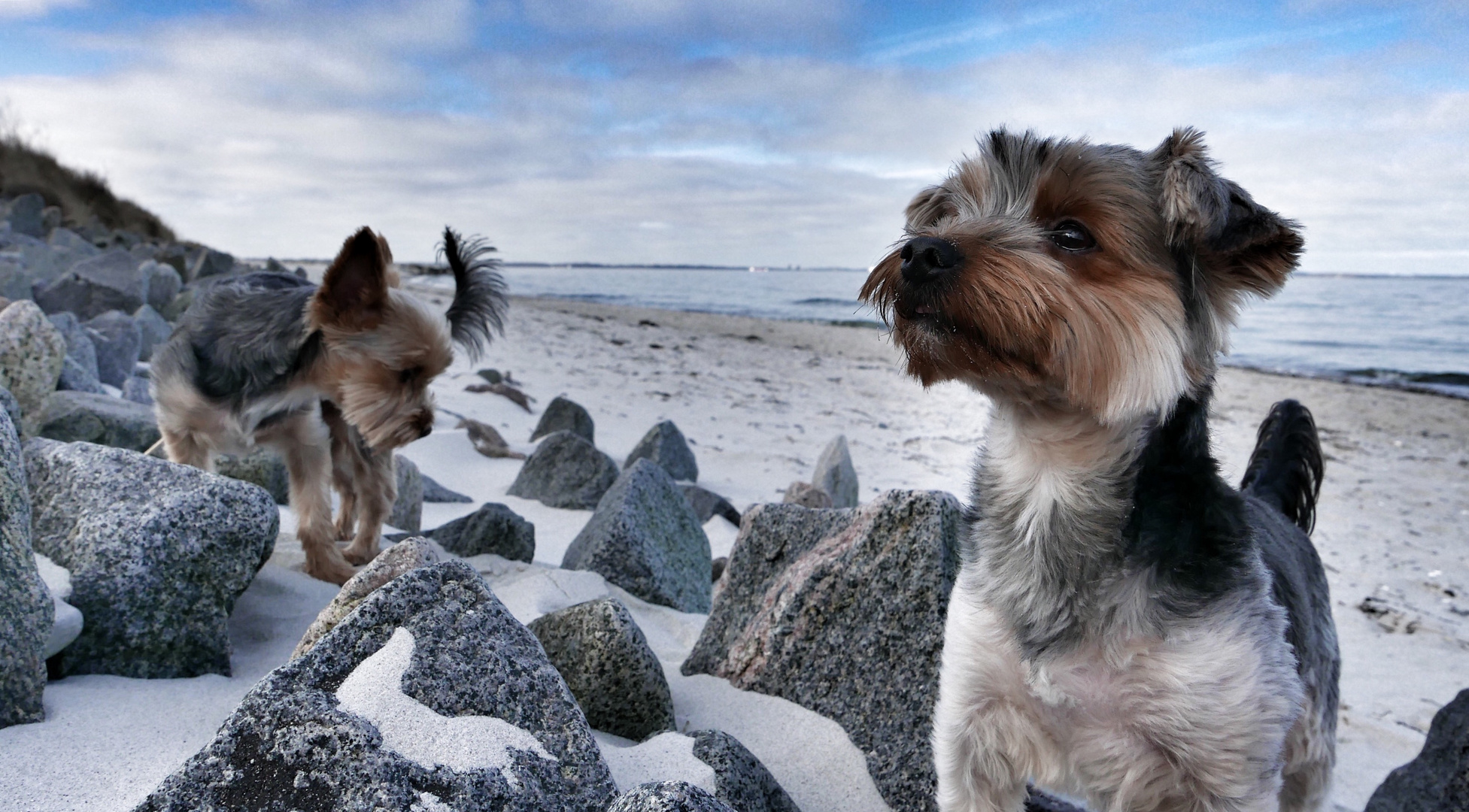 Am Strand