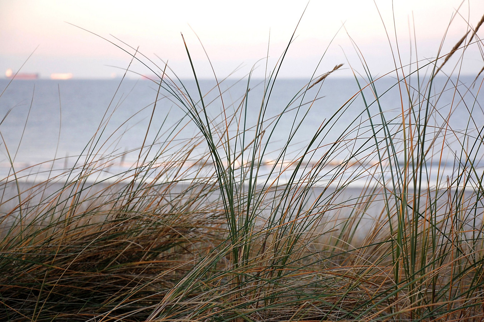 Am Strand