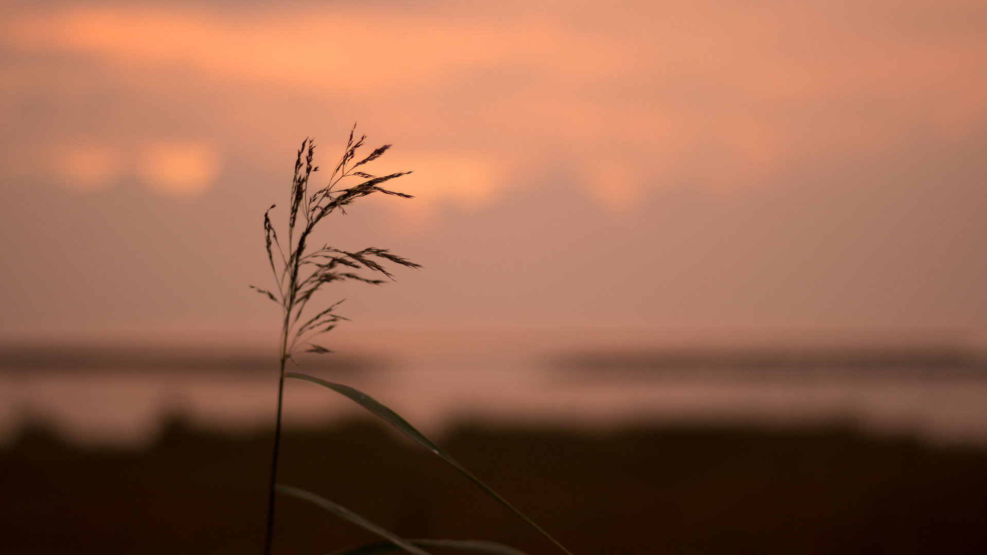 Am Strand