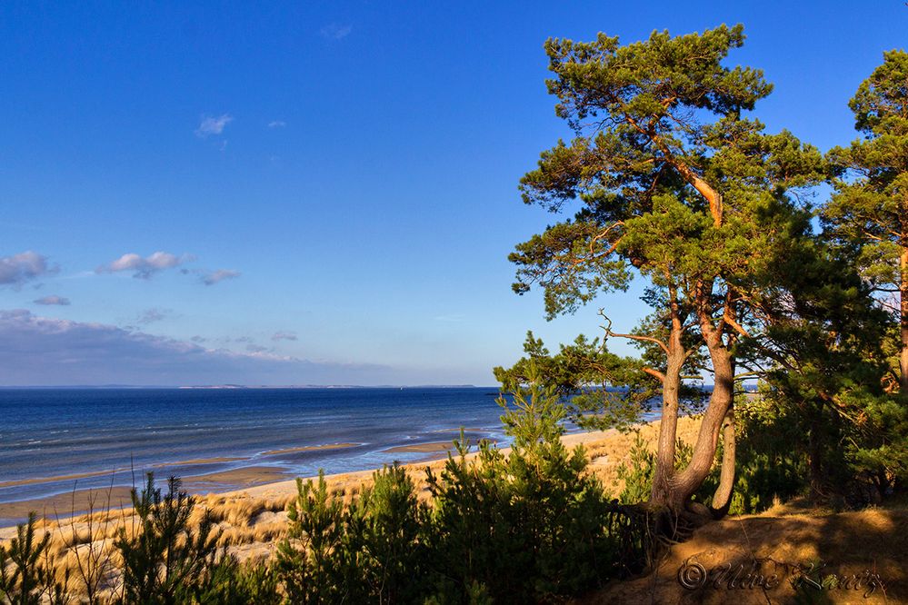 am Strand