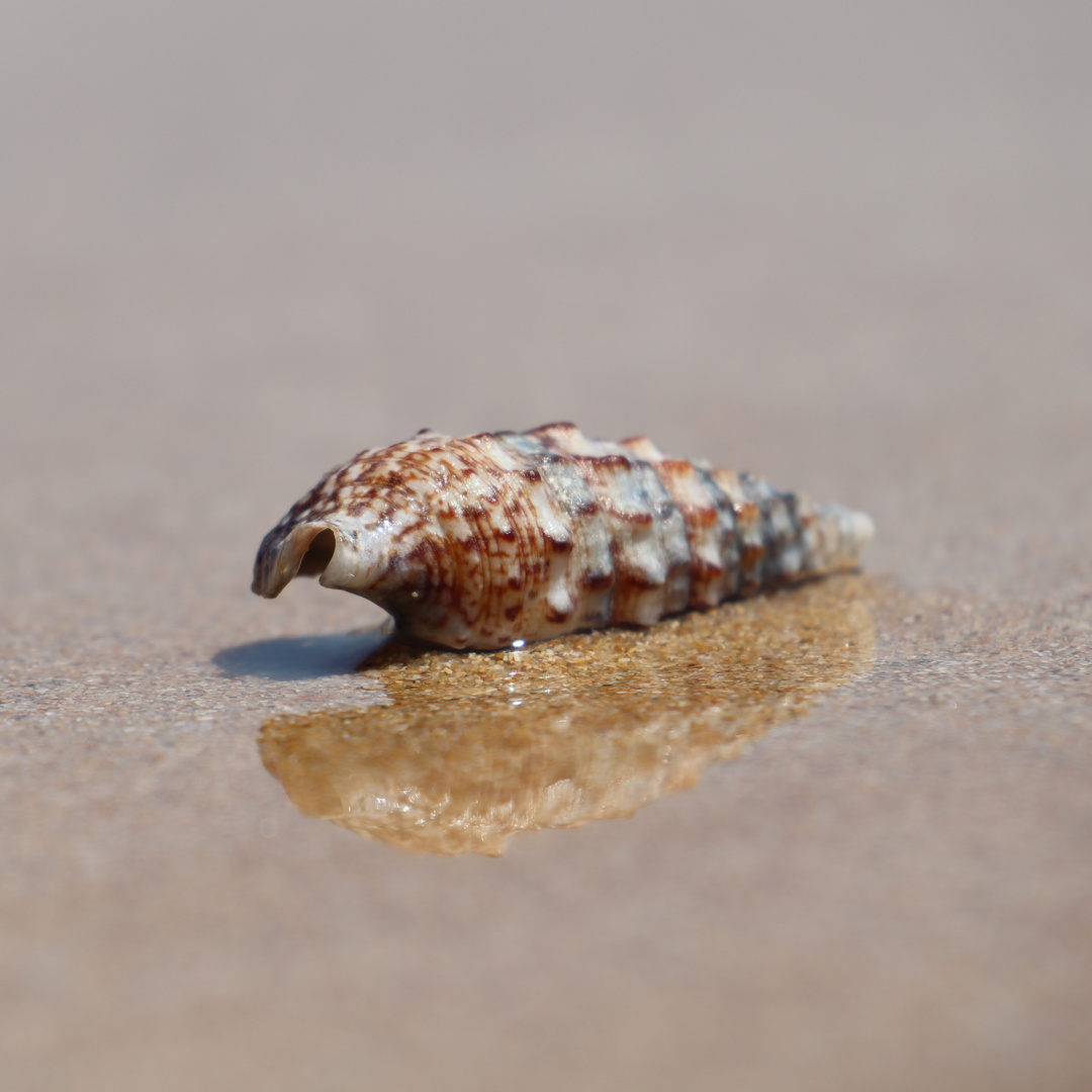 Am Strand