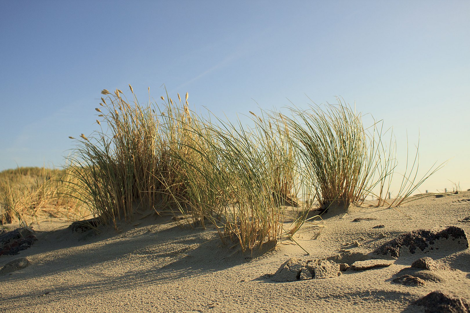 Am Strand