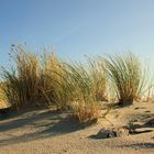 Am Strand