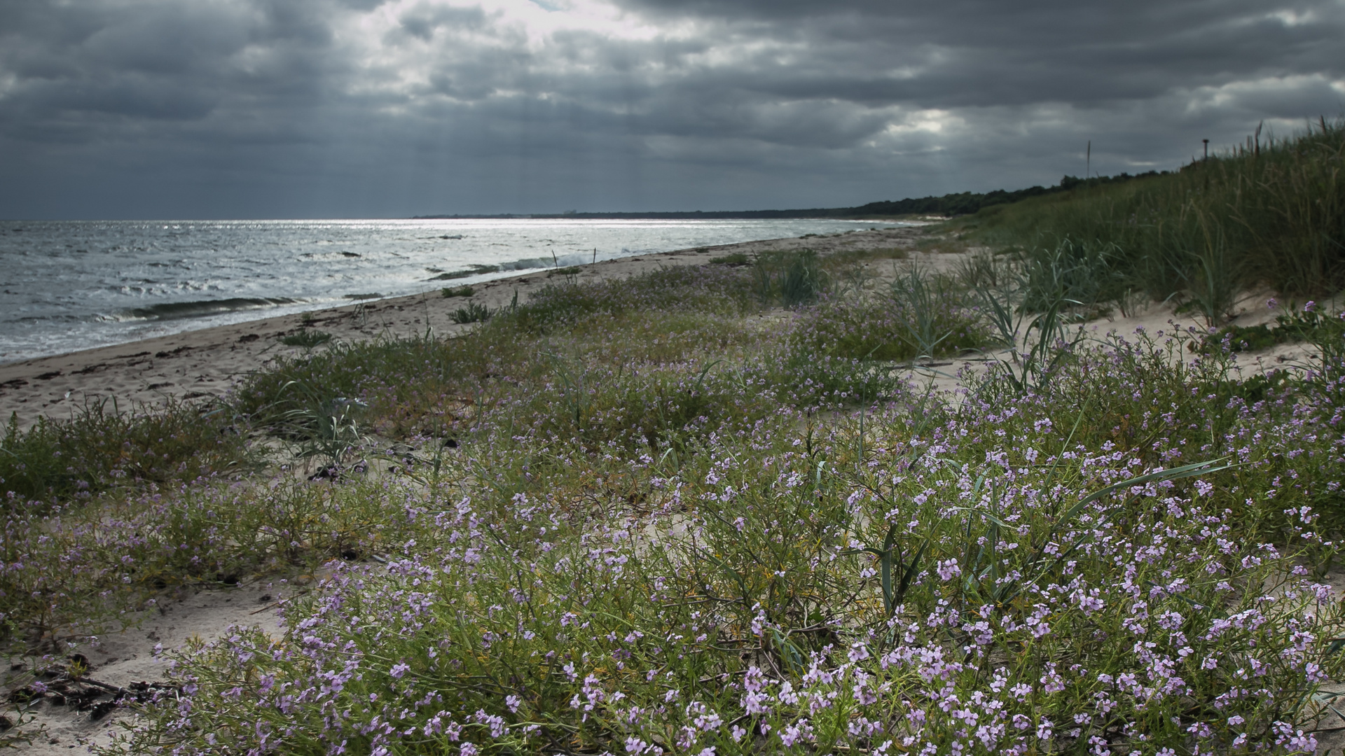 Am Strand