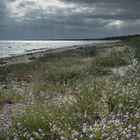 Am Strand