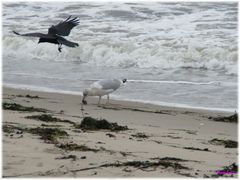 Am Strand