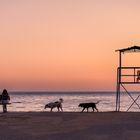 Am Strand