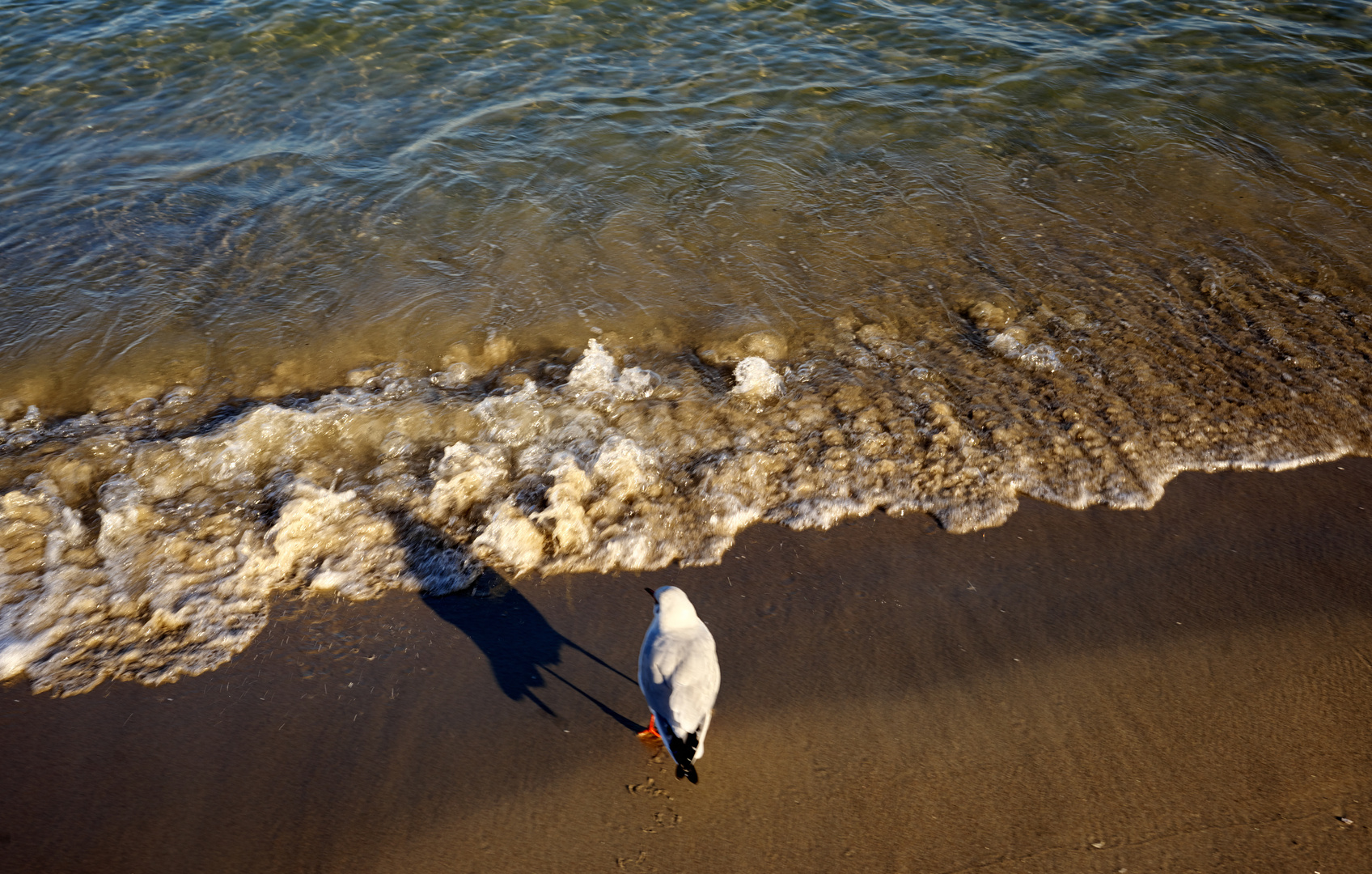 Am Strand